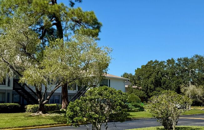 Central Park at East Bay