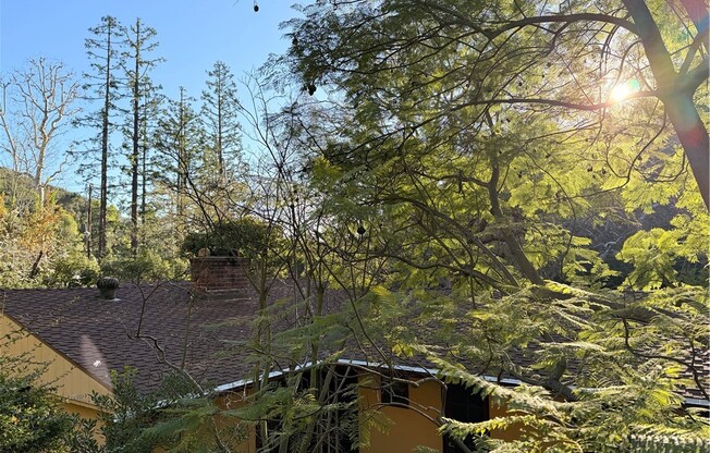 2500 Benedict Canyon Dr