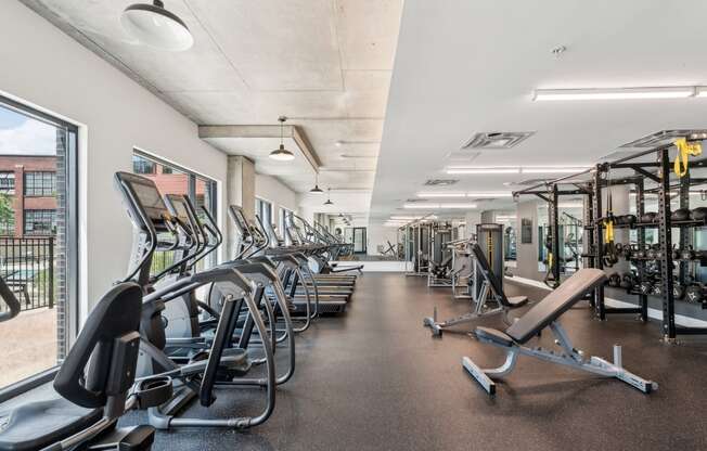 A gym with treadmills, weights, and exercise equipment.