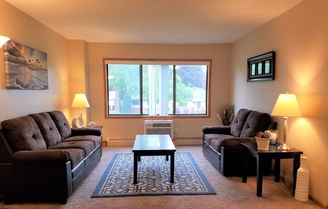 2 beds, 1 bath, 785 sqft, $1,200, Unit 105408