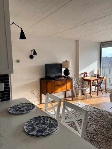Studio, 1 bath, 394 sqft, $1,650, Unit 502