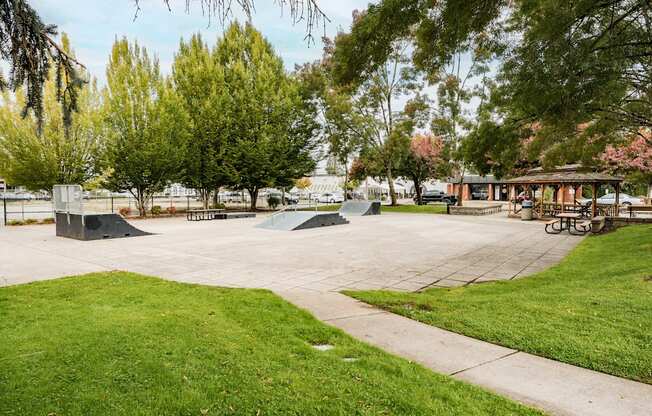 A park with a skate park and a picnic area.
