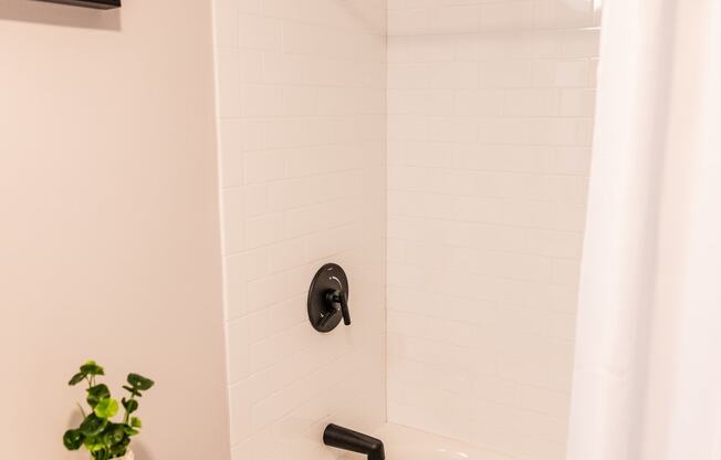 a bathroom with a white tub and a toilet and a shower curtain