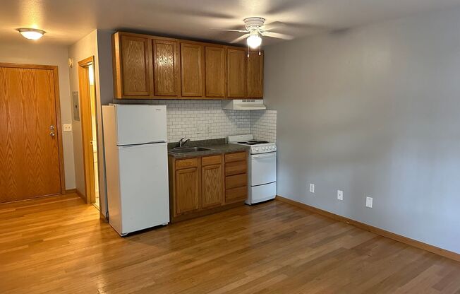 Studio, 1 bath, 350 sqft, $1,025, Unit Unit 103