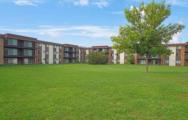 a grassy area with a tree in front of an apartment building