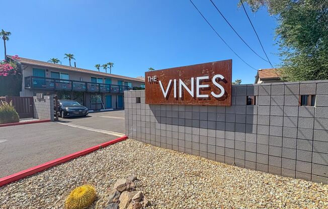 The Vines