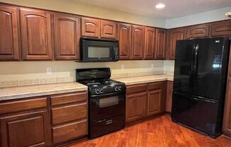 10329 TIGER PAWS PL