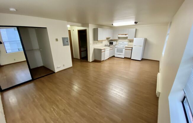 Studio, 1 bath, 413 sqft, $1,295, Unit 316