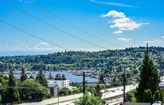 a view of the city of seattle and mt. rainier  at Cosmopolitan, Seattle, WA, 98105