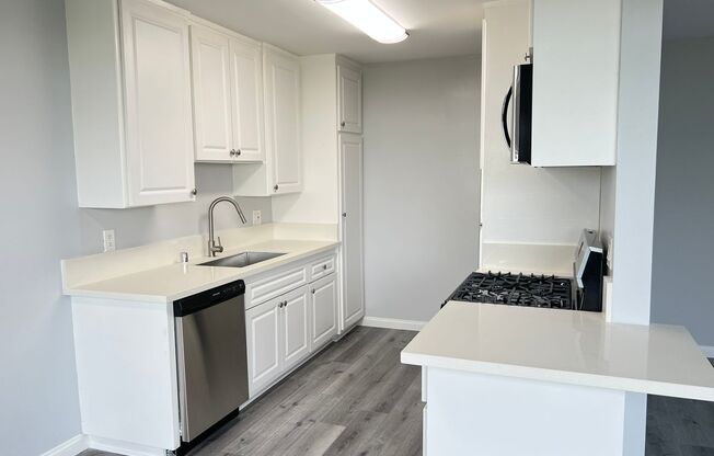 1 bed, 1 bath, $2,450