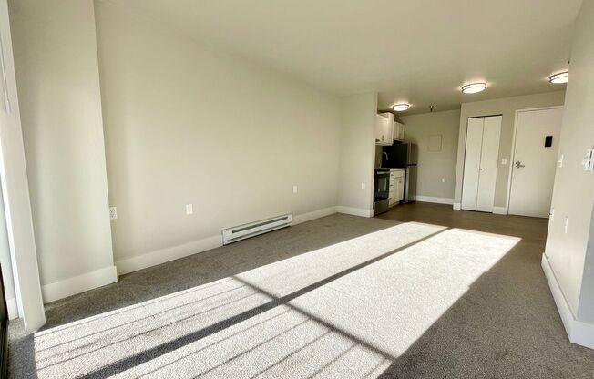 Studio, 1 bath, 480 sqft, $1,495, Unit 317