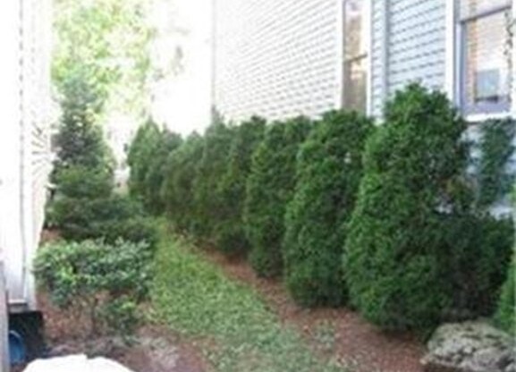1 FARRELL ST
