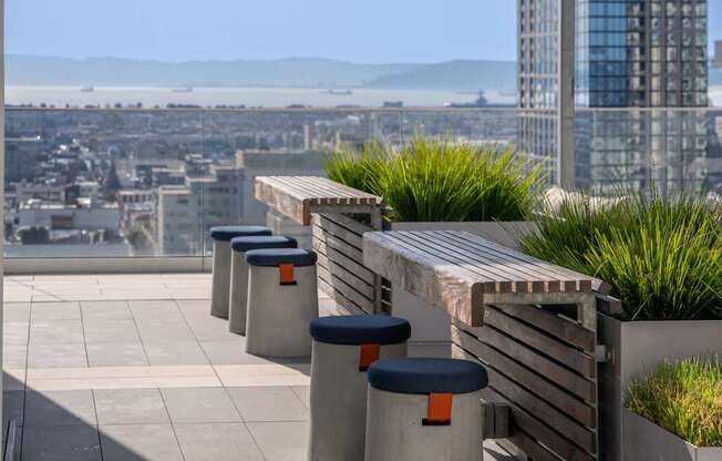 A row of concrete planters with greenery in the foreground and a cityscape in the background.