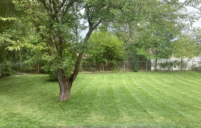 Charming 3-Bedroom Ranch for Rent – Updated Interior & Expansive Backyard in a Quiet Neighborhood!