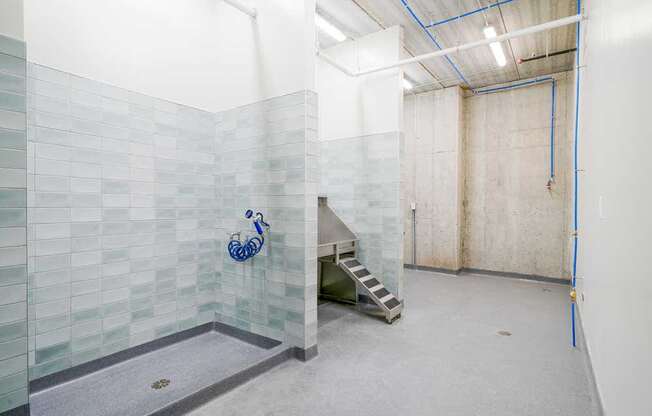 a tiled dog spa with a large walk-in shower, and a pet wash station