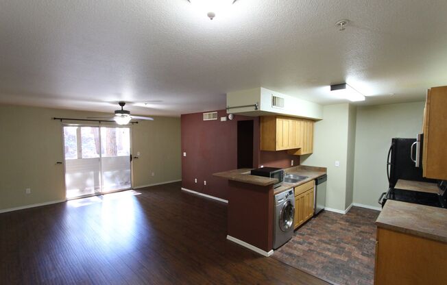 1 bed, 1 bath, $1,600, Unit # 8 163