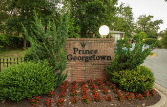 Prince Georgetown