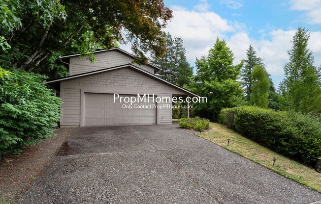 Beautiful Four Bedroom Escape in Palisades!