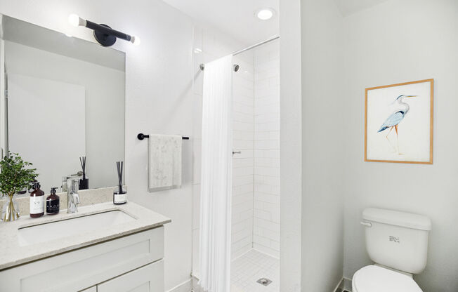 Studio, 1 bath, 240 sqft, $949