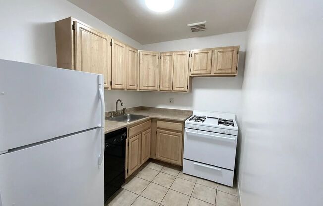 Studio, 1 bath, 518 sqft, $1,850, Unit 213