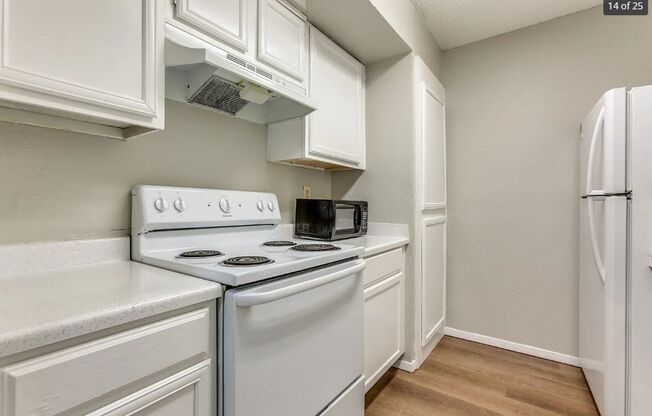 1 bed, 1 bath, 730 sqft, $1,600, Unit 1313