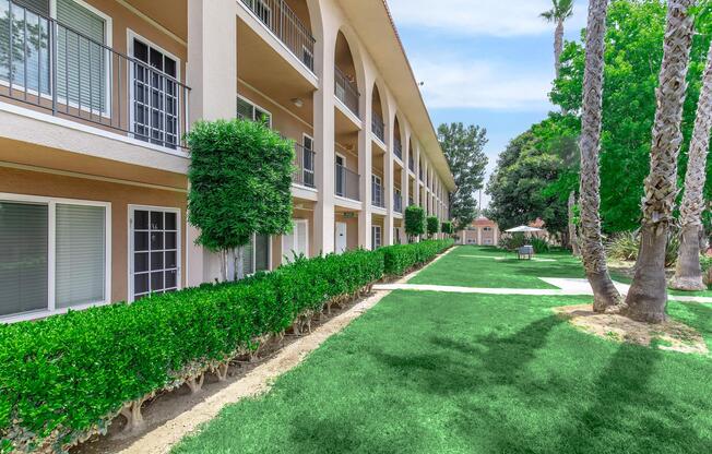 a path with trees on the side of a building