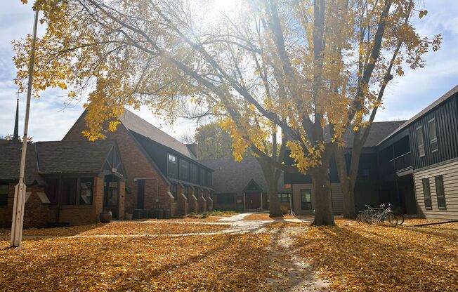 Studio, 1 bath, 444 sqft, $1,200, Unit 3225-104A