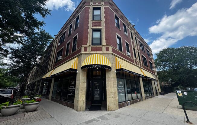 1 bed, 1 bath, 600 sqft, $1,500, Unit 304
