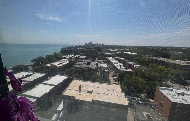 2 beds, 1 bath, 1,000 sqft, $2,300, Unit 1303