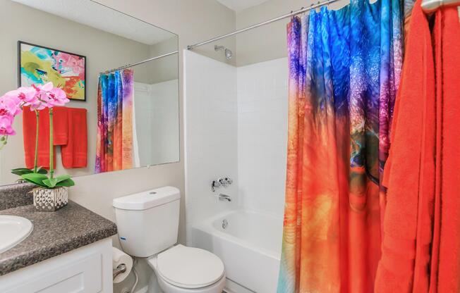 a shower curtain
