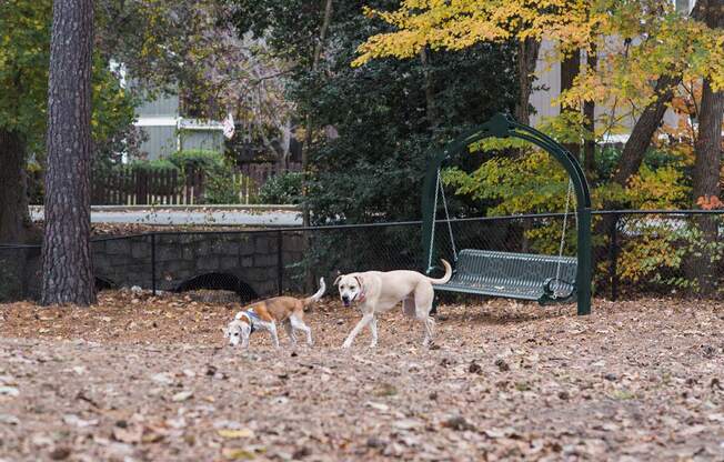 Walton on the Chattahoochee Fenced Dog Park, Atlanta GA