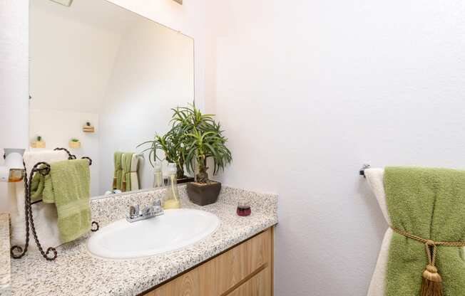 a bathroom with a sink and a mirror and a plant