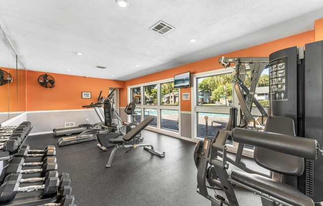 the gym at 1861 muleshoe road has cardio equipment and windows