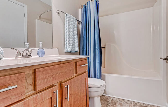 Apartment Bathroom with Shower