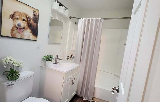 A bathroom with a toilet, sink, and a framed picture of a dog on the wall.