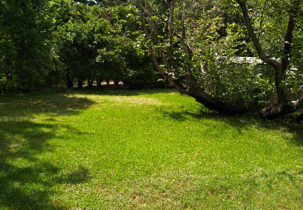 5716 SARAMAC DR