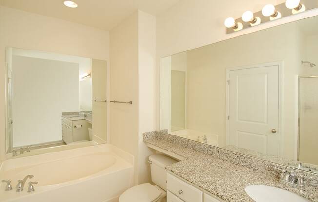 bathroom vanity and garden tub