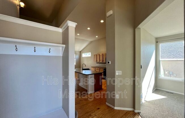 842 SUNLIGHT PEAK DR