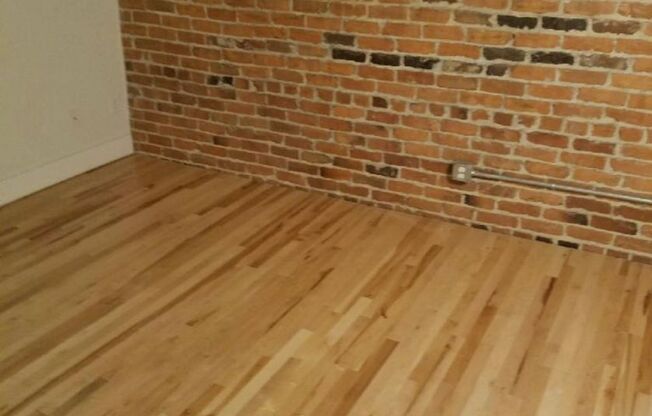 1 bed, 1 bath, 465 sqft, $1,250, Unit Apt 204
