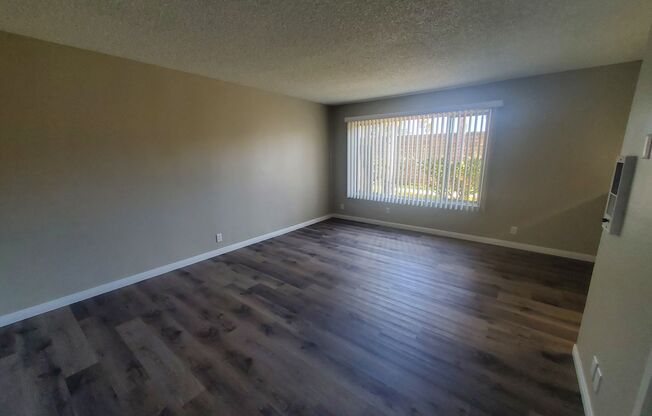 Studio, 1 bath, 408 sqft, $1,900, Unit 141