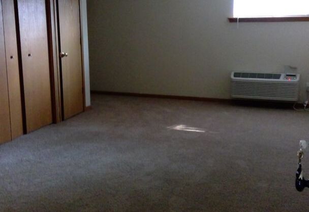 Studio, 1 bath, 550 sqft, $775, Unit 824
