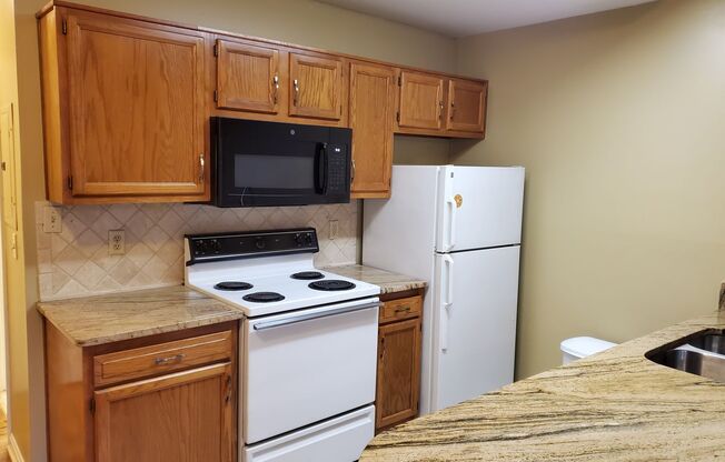 To Good to Be True, Efficiency!  Spacious Efficiency Condo with Fireplace, Hardwood Floors, Jetted Tub & MORE!