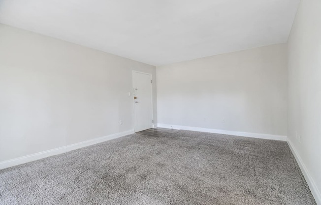 A room with a carpeted floor and a closed door.