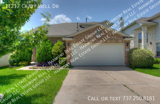 11217 CRAZY WELL DR