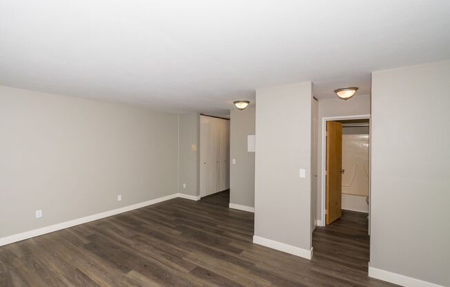 Studio, 1 bath, 450 sqft, $575, Unit S313