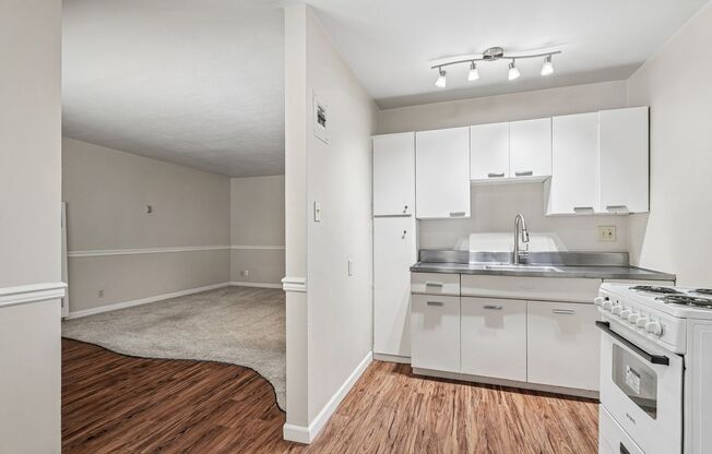 Studio, 1 bath, $1,550, Unit 107