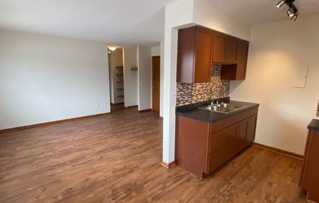 1 bed, 1 bath, 475 sqft, $1,125, Unit 921-11