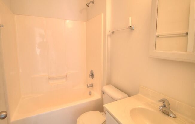 Recently Updated 3 Bedroom, 2 Bath Home in Lyon Park Neighborhood with Massive Fenced-in Yard!