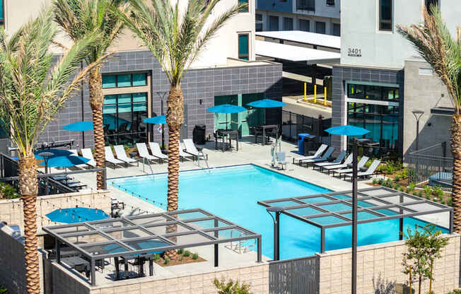 A pool surrounded by palm trees and lounge chairs.
