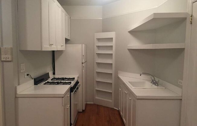 1 bed, 1 bath, $3,000, Unit 1F